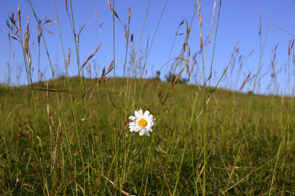 I’m just trying but unfortunately sabotaging&nbsp;myself