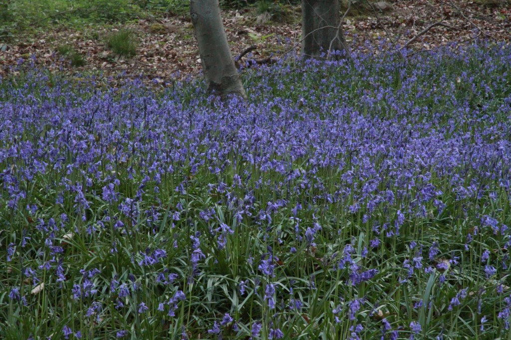 The quite loudness of being&nbsp;alive