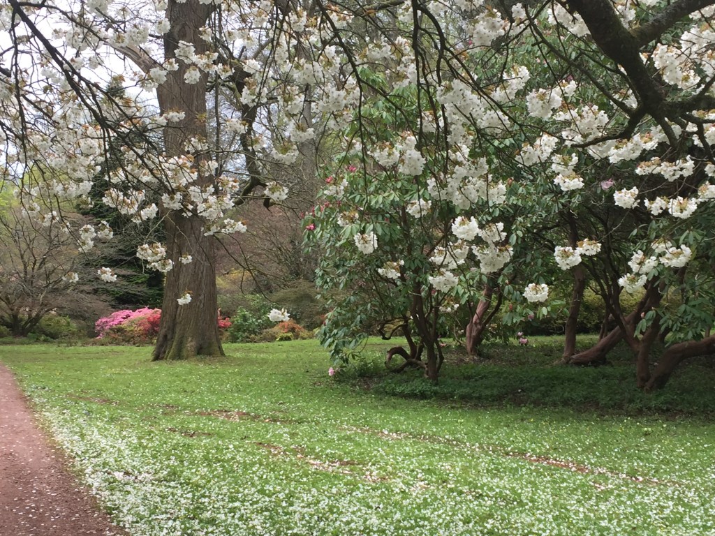 I should have been&nbsp;annoyed?