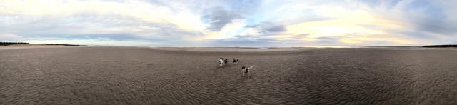 What’s your quality of&nbsp;contact?