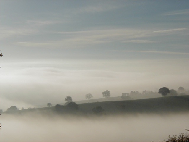 When depression, anxiety and asthma&nbsp;disappeared!