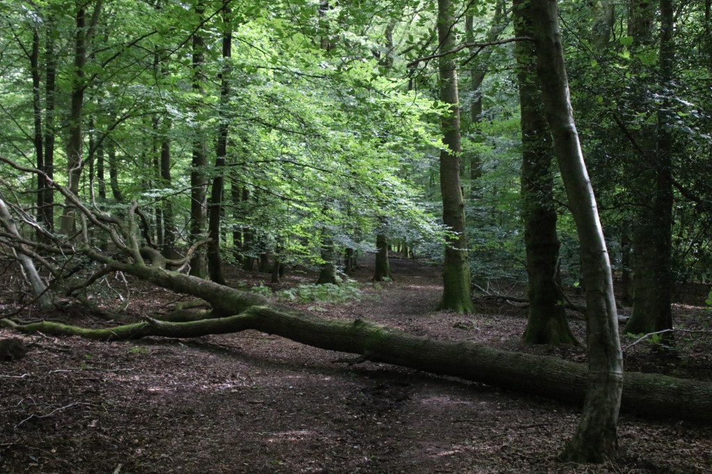 What a wonderful&nbsp;day