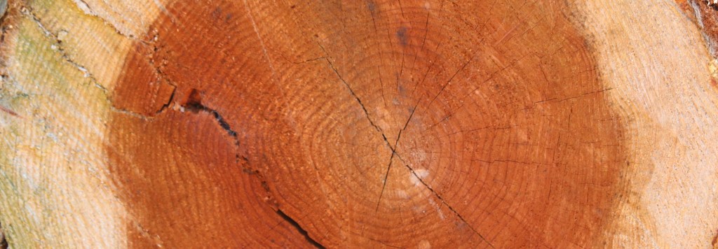 The heart of the&nbsp;matter