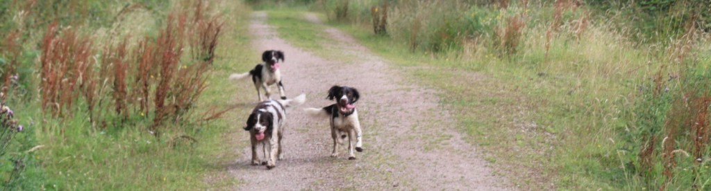 Life can be a breeze; the choice is&nbsp;yours.