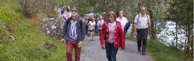 Fancy a walk in the&nbsp;forest