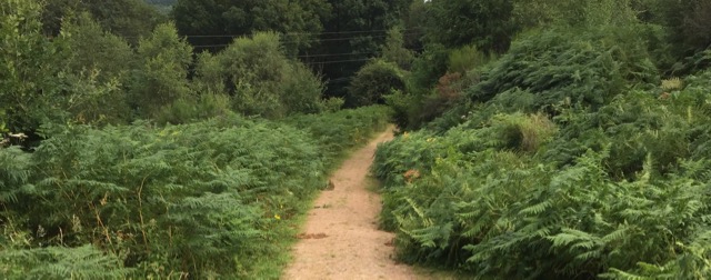 Something about nothing