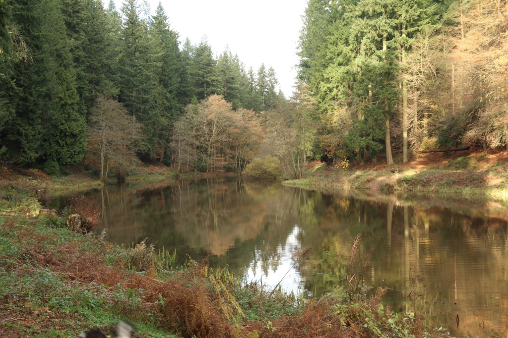 When thinking goes&nbsp;awry