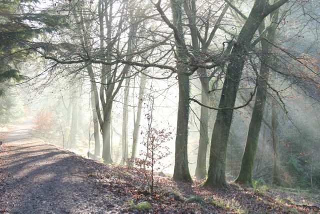 Pass your beauty on to&nbsp;others