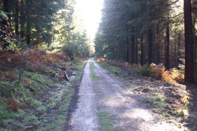 I pushed on until I saw&nbsp;sense