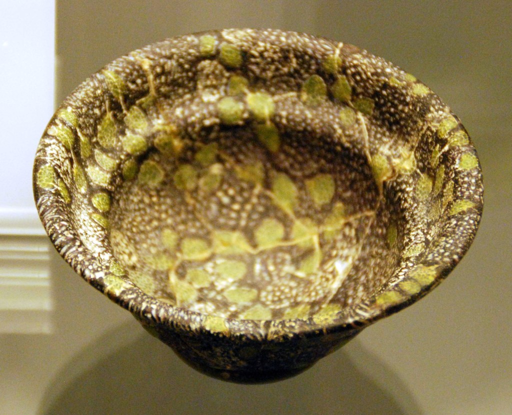 Acetabulum is one of those words I just&nbsp;love