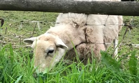 Who are you trying to&nbsp;please?