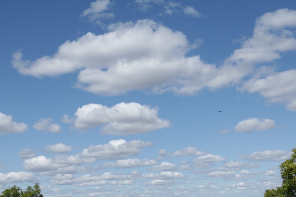 My lovely bubbly&nbsp;friend