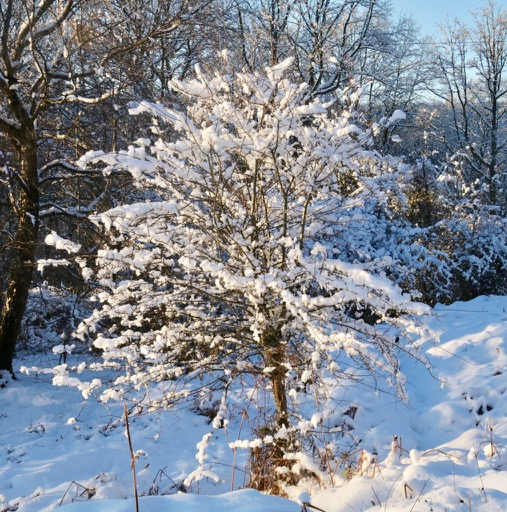 Be your own&nbsp;Santa