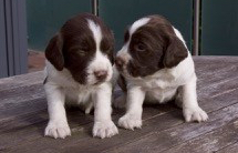 Why hurt yourself because your angry with&nbsp;someone!