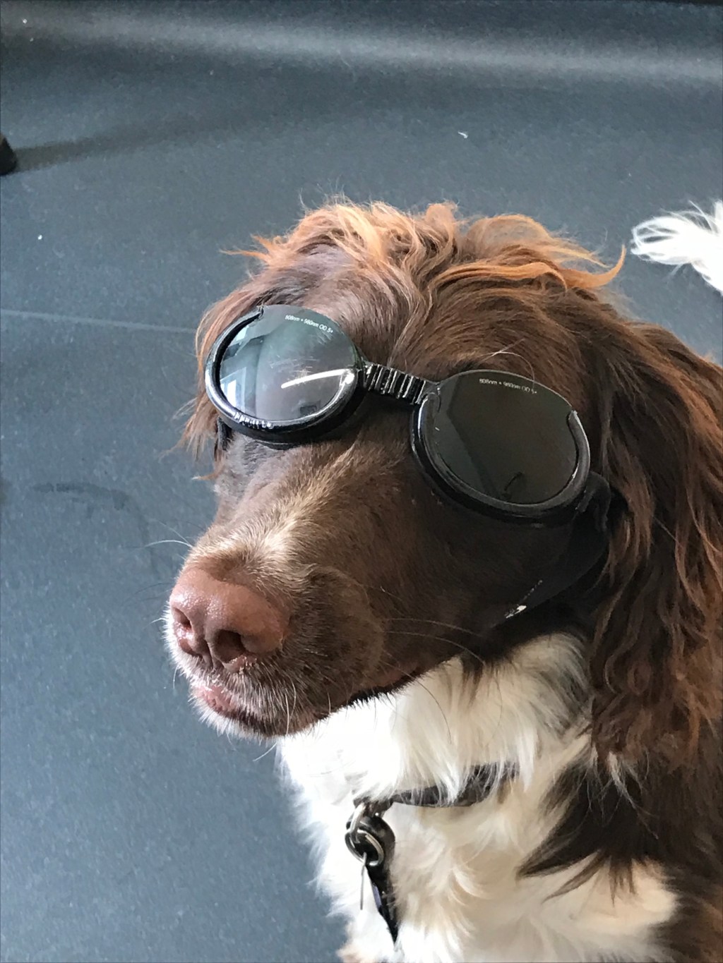 This is better then smoking&nbsp;dope