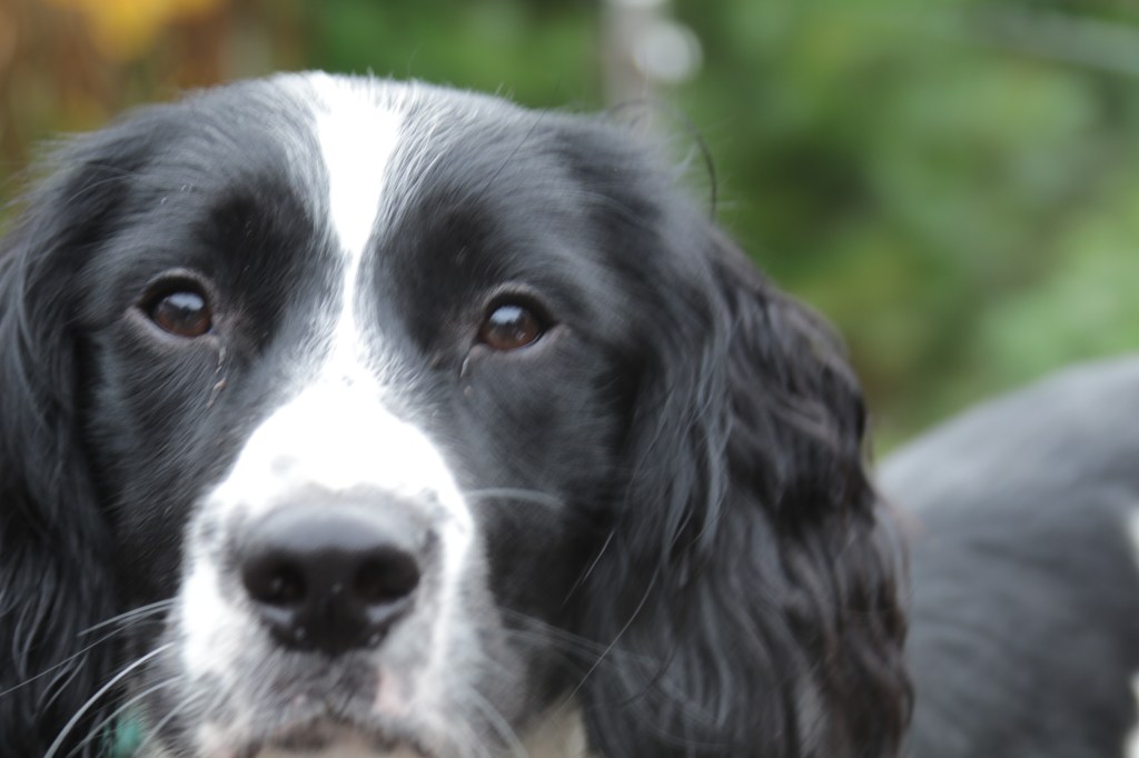 Life becomes a whole lot better. 