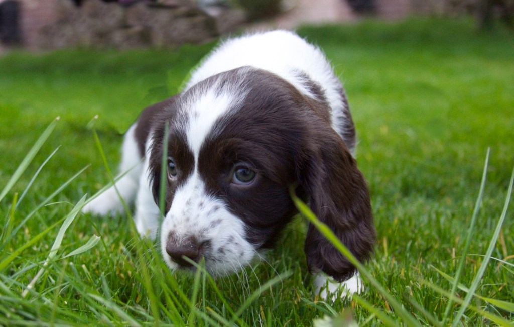 What is the Alexander&nbsp;Technique?