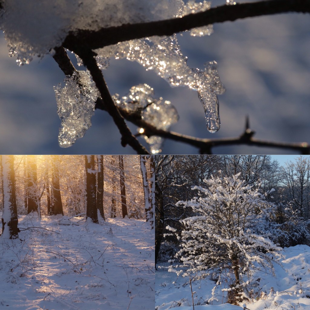 If Christmas was&nbsp;different!